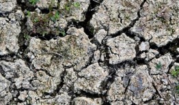 本周的降雨是否缓解了阿拉巴马州的干旱？