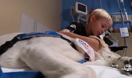 投票表决将使丹佛市区基础设施的债务增加5亿美元